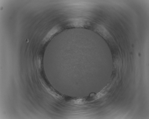 X0000063530120200601201508