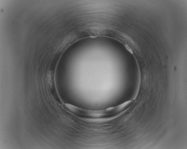 X0000063530121200601201508