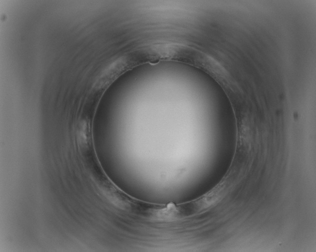 X0000063530122200601201508