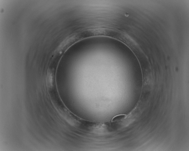 X0000063530124200601201508