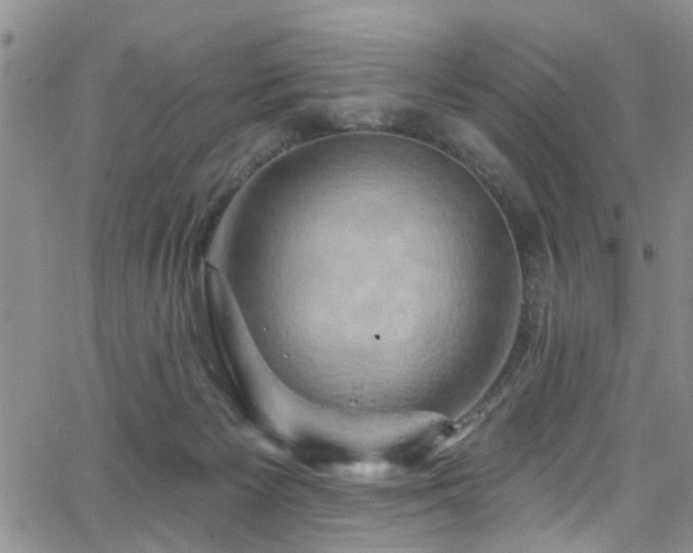 X0000063530125200601201508