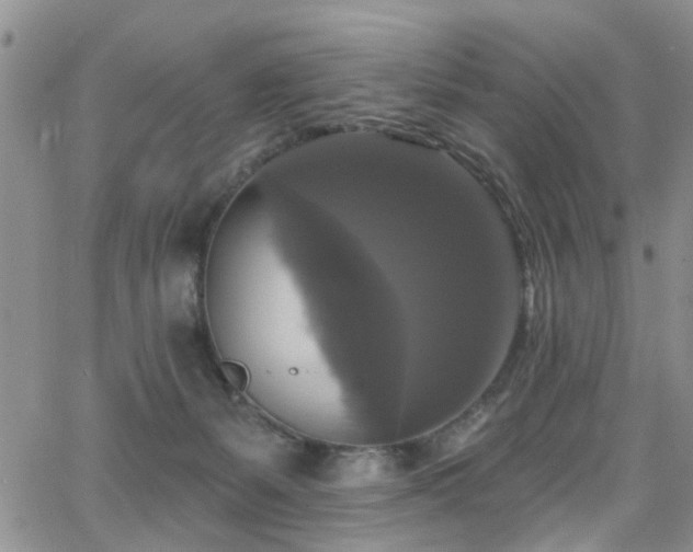 X0000063530127200601201508