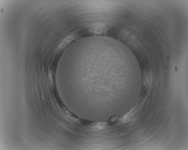 X0000063530128200601201508