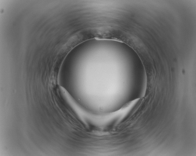 X0000063530129200601201508