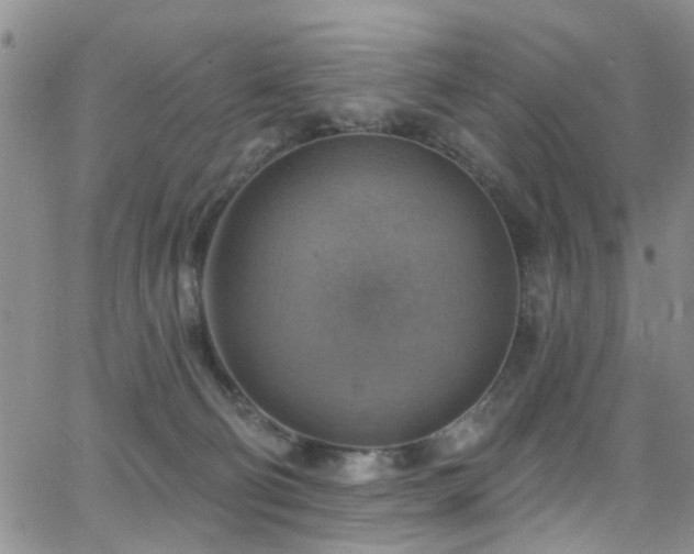 X0000063530130200601201508