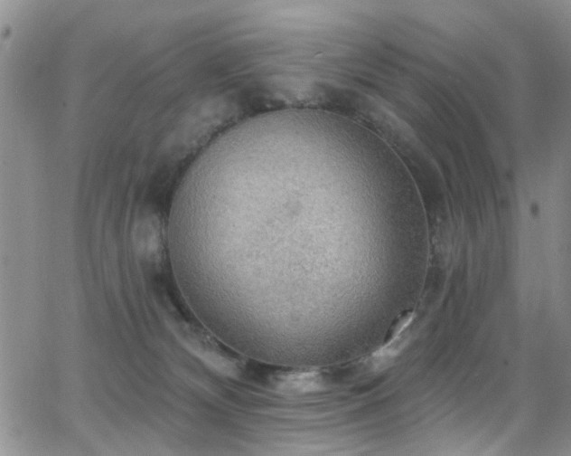 X0000063530132200601201508