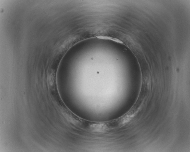 X0000063530133200601201508