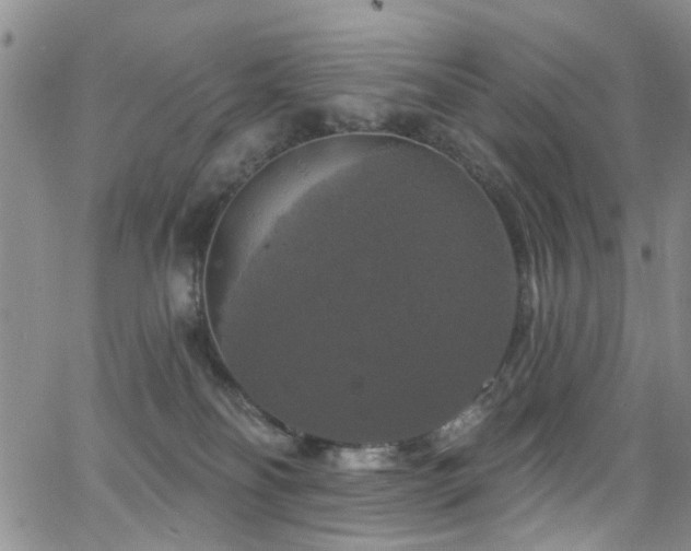 X0000063530134200601201508