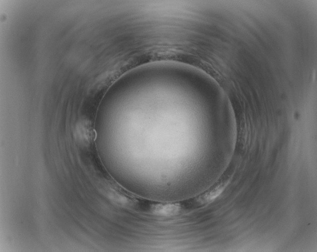 X0000063530135200601201508