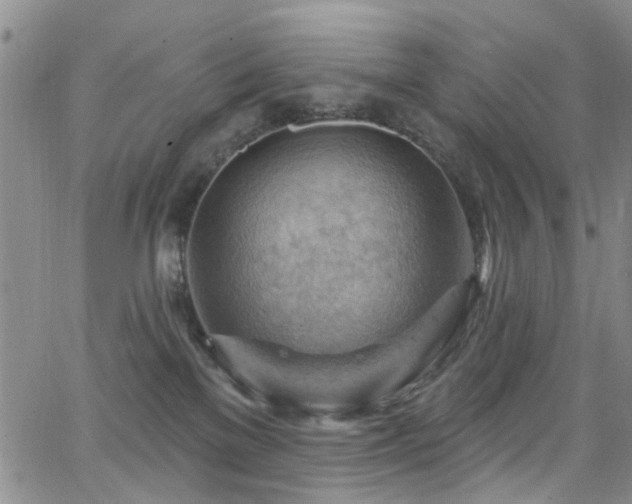 X0000063530137200601201508