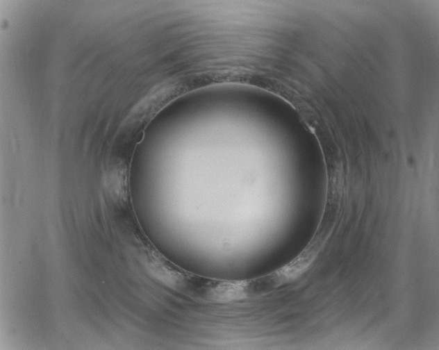 X0000063530138200601201508