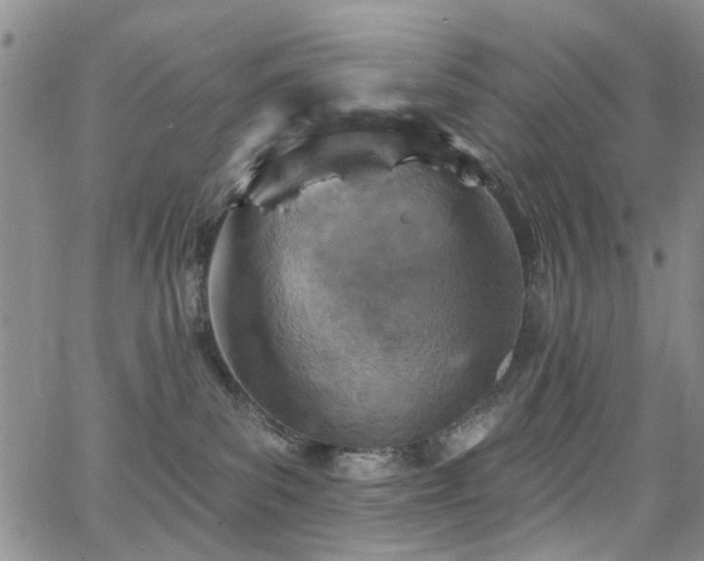 X0000063530139200601201507