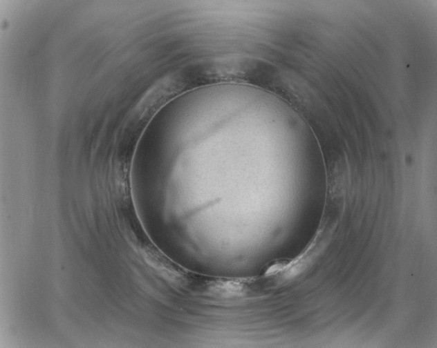 X0000063530140200601201507