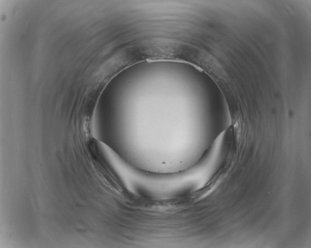 X0000063530141200601201507