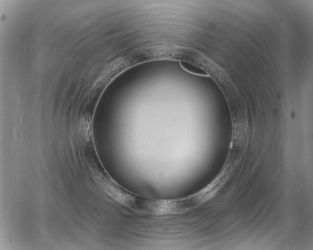 X0000063530142200601201507