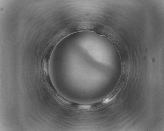 X0000063530143200601201507