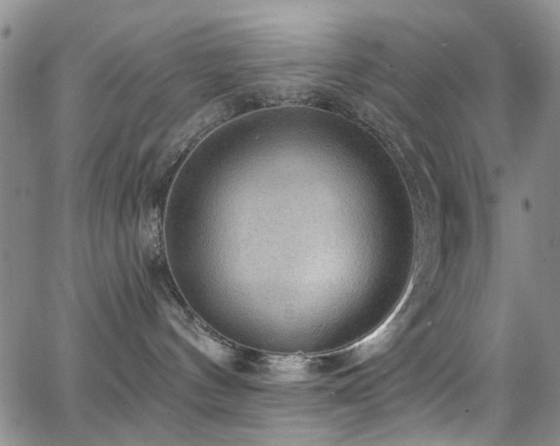 X0000063530144200601201507