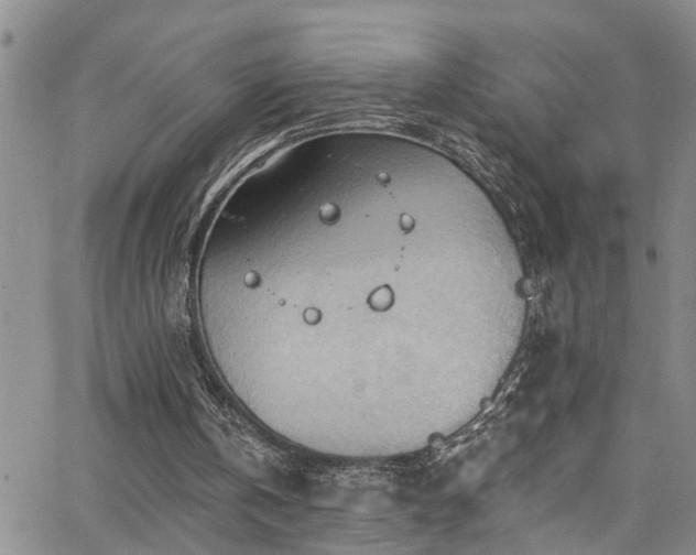 X0000063530146200601201507