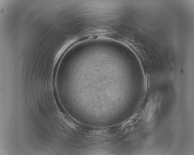 X0000063530147200601201507