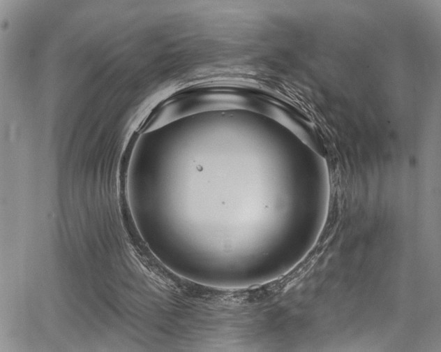 X0000063530148200601201507