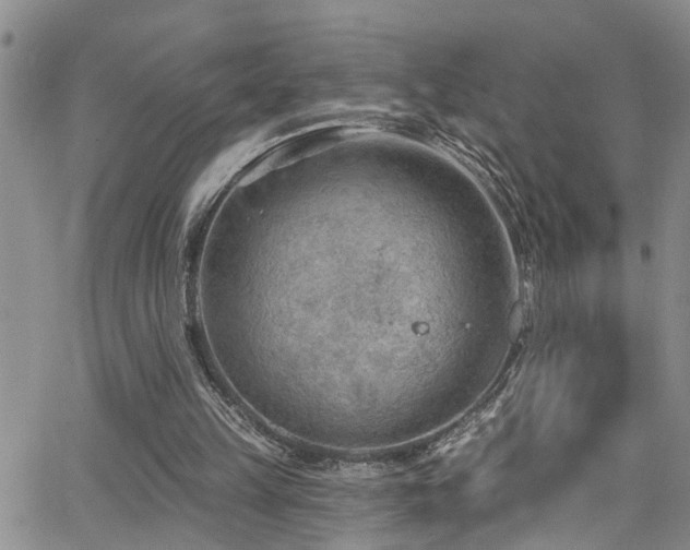 X0000063530149200601201507