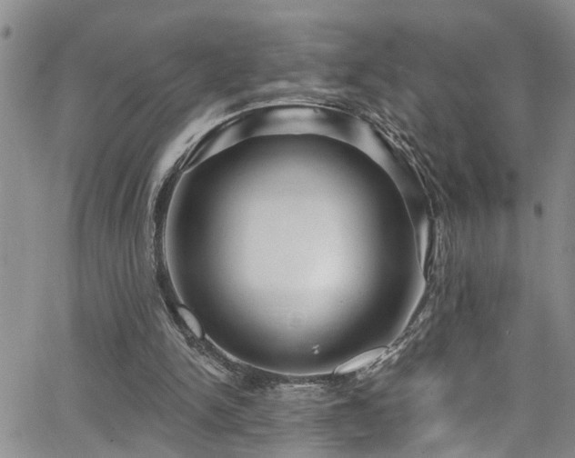 X0000063530150200601201507