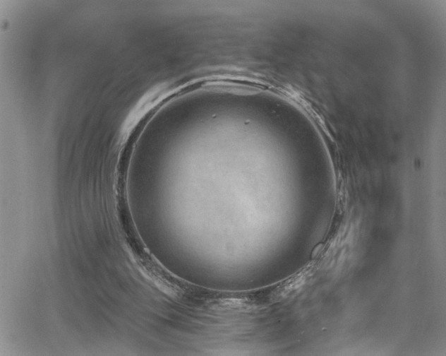 X0000063530151200601201507