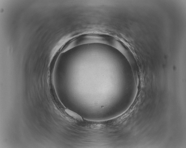 X0000063530152200601201507