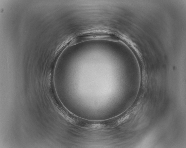 X0000063530153200601201507