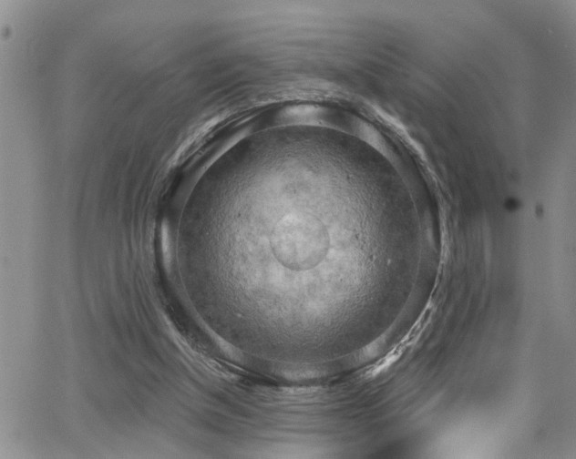 X0000063530154200601201507