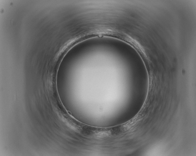 X0000063530155200601201507