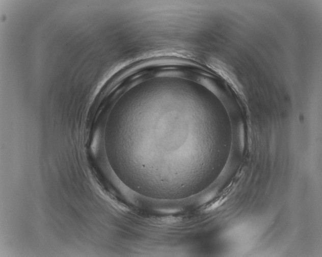 X0000063530156200601201507