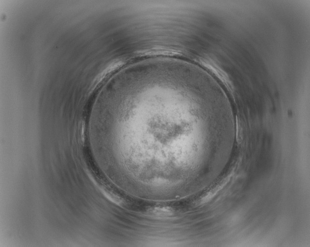 X0000063530157200601201507