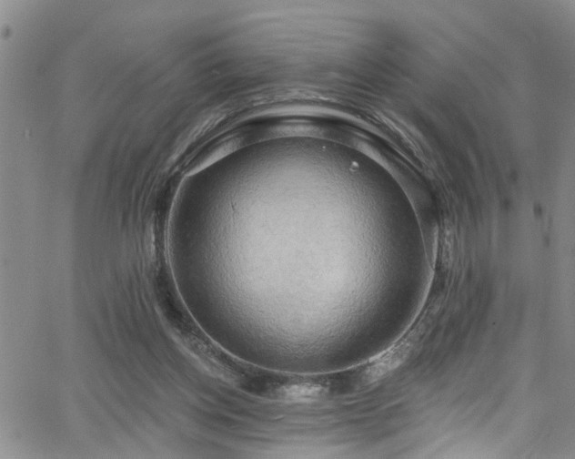 X0000063530158200601201507