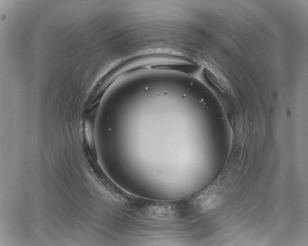 X0000063530160200601201507