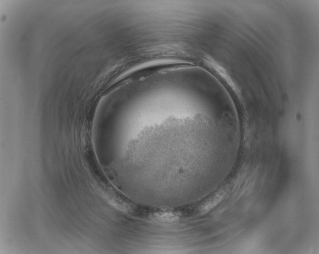 X0000063530161200601201507