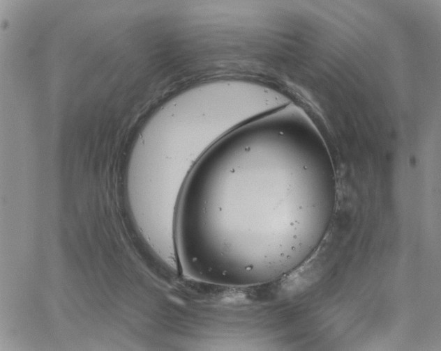 X0000063530162200601201507