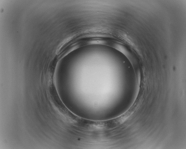 X0000063530164200601201507