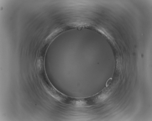 X0000063530165200601201507