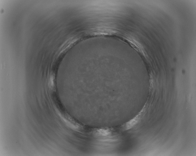 X0000063530166200601201507