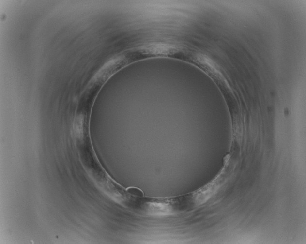 X0000063530167200601201507