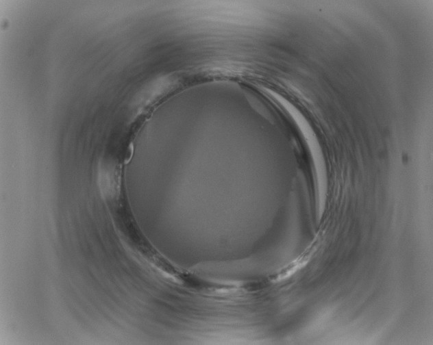 X0000063530168200601201507