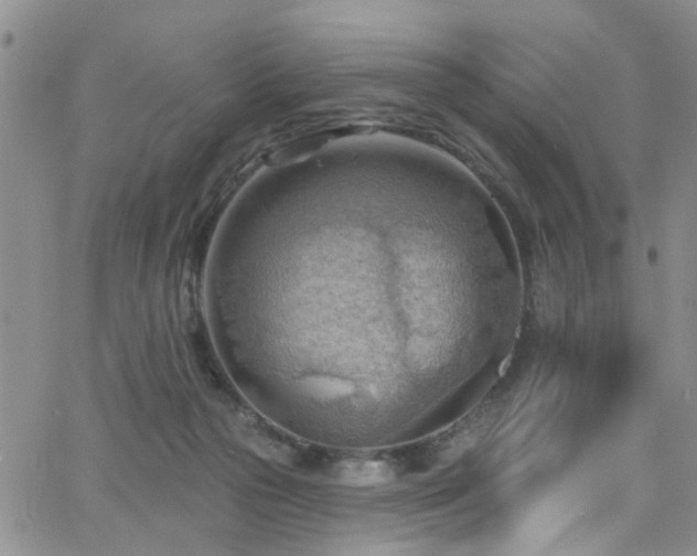 X0000063530169200601201507