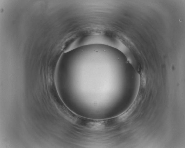 X0000063530170200601201507