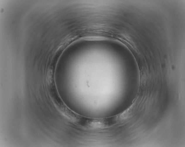 X0000063530171200601201507