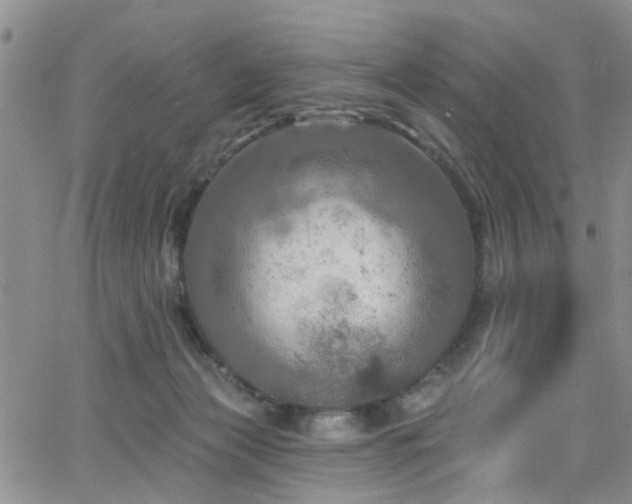 X0000063530173200601201507