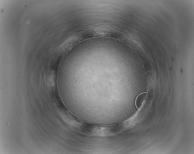 X0000063530174200601201507