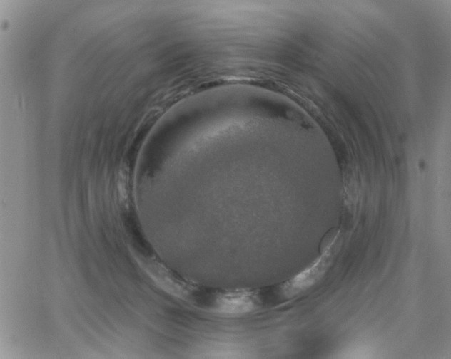 X0000063530175200601201507