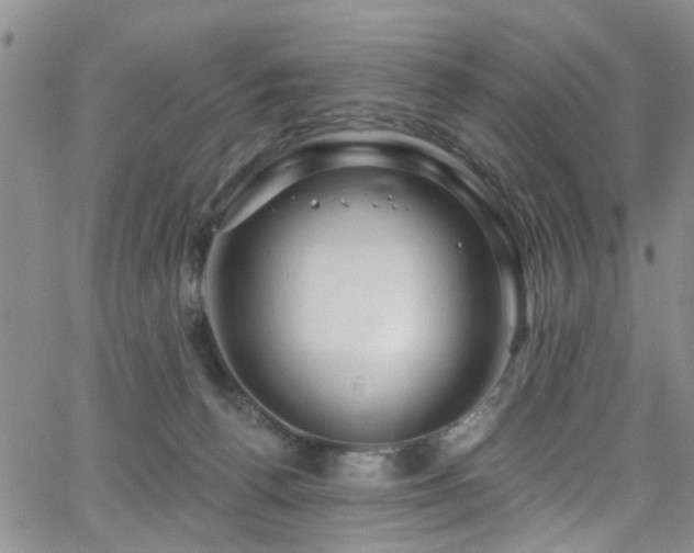 X0000063530176200601201507