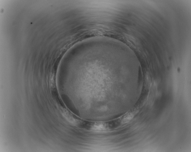 X0000063530177200601201507